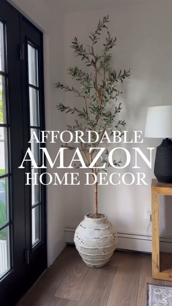 Budget Home Decor: Stylish Finds & DIY Projects visual guide