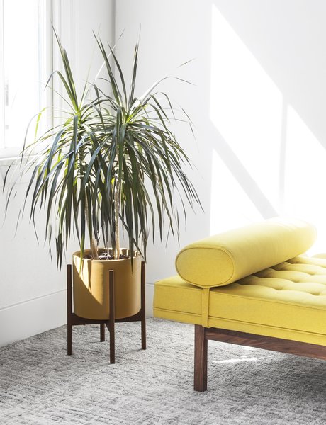Modern Home Decor Styles & Trends illustration