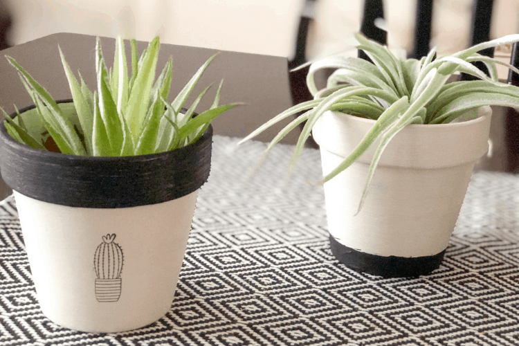 budget DIY planter ideas for home decor illustration