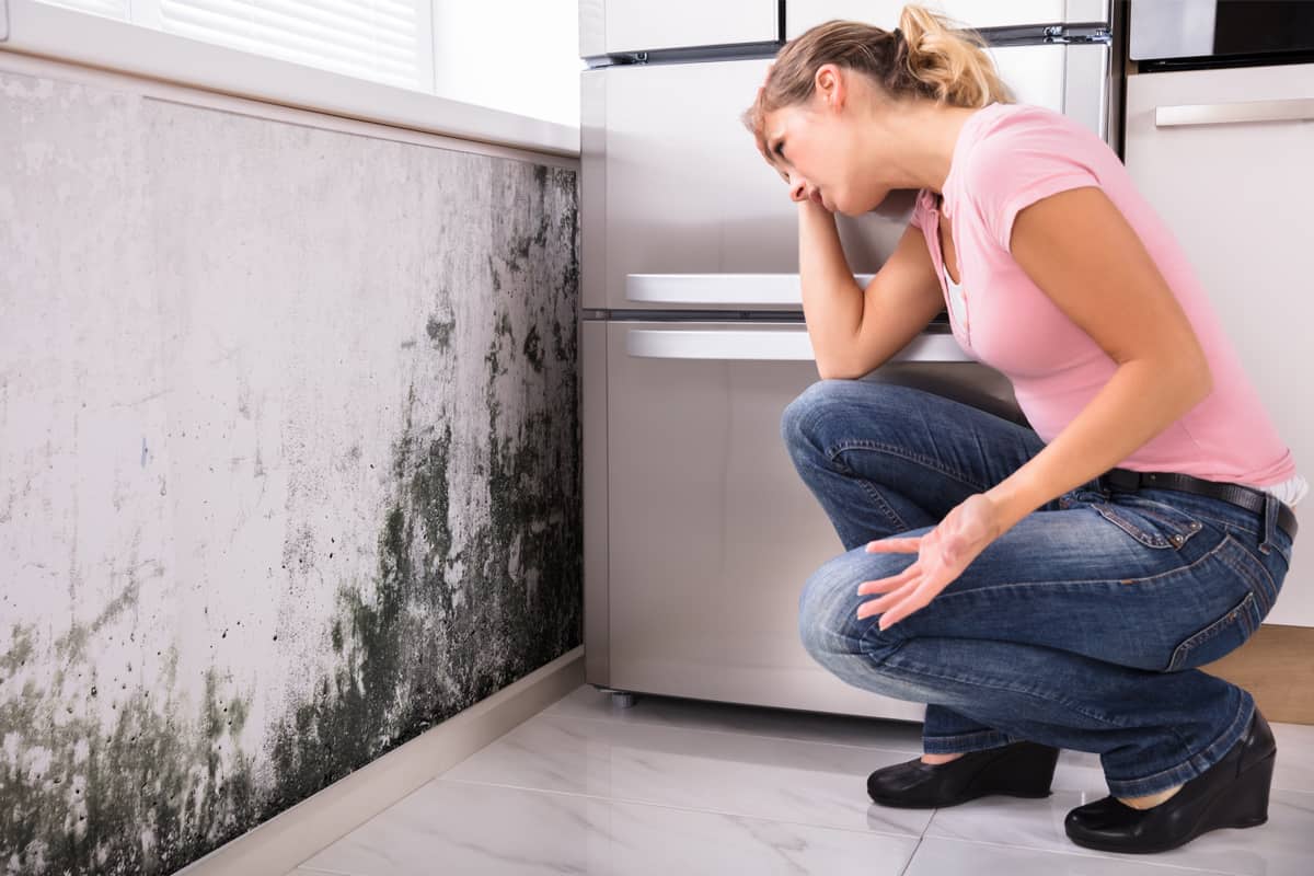 can i sue my landlord for mold illustration