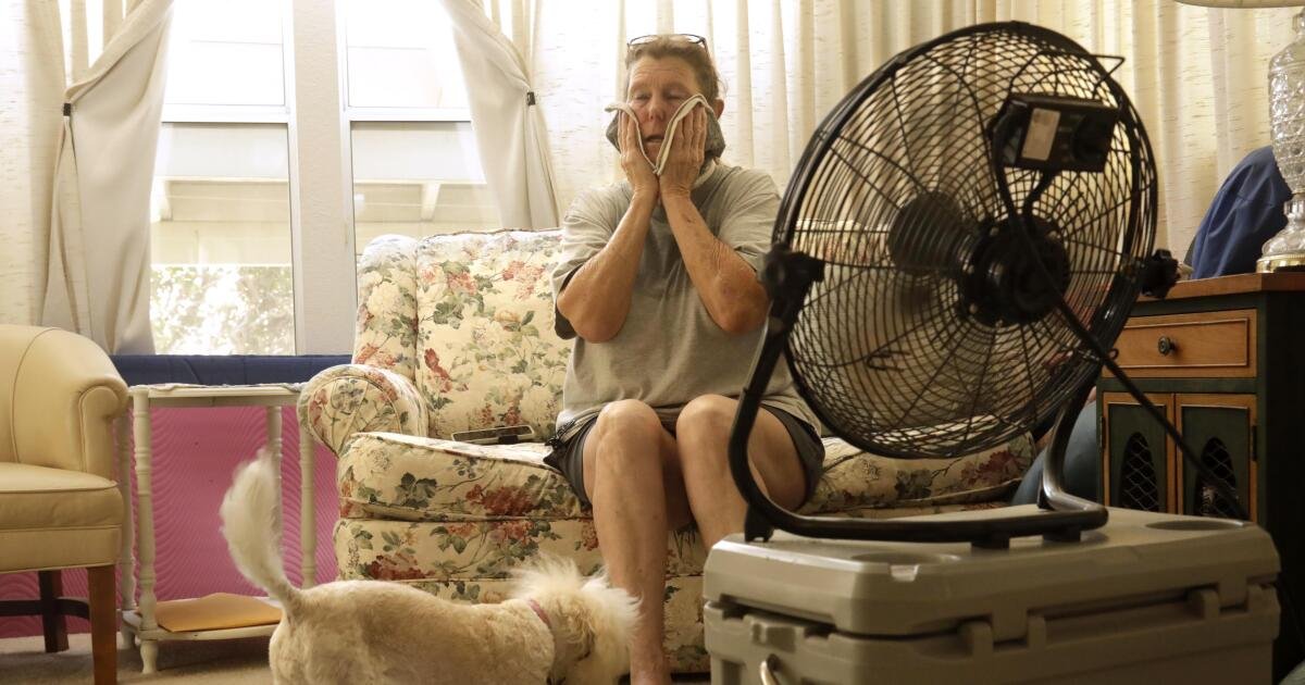 how long can a landlord leave you without air-conditioning texas illustration