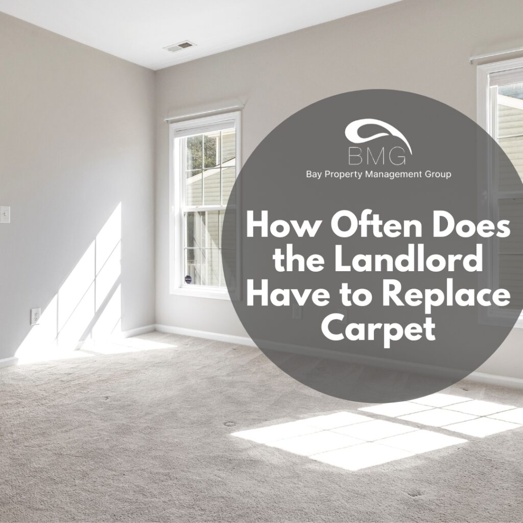 how often does landlord have to replace carpet illustration