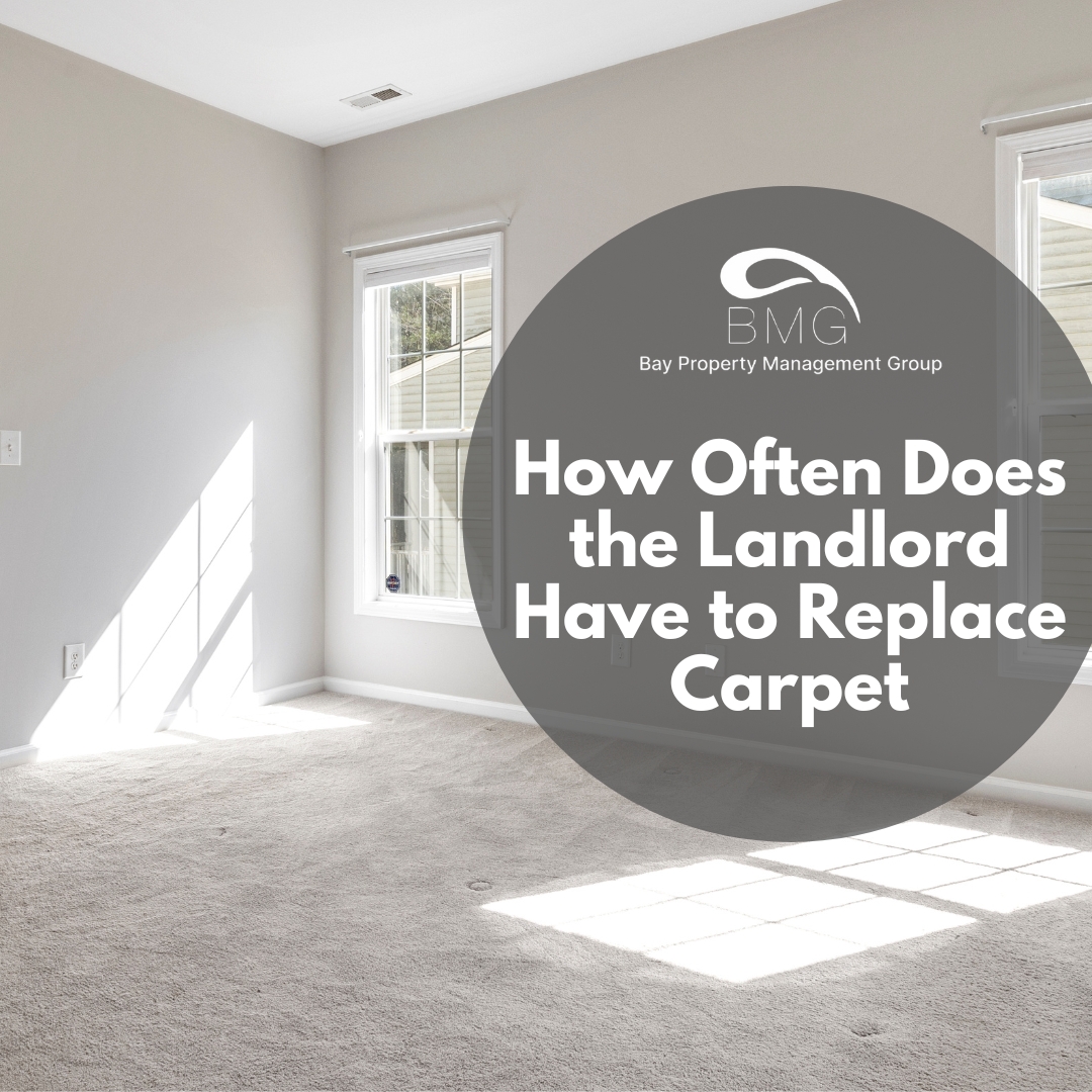 how often does landlord have to replace carpet illustration