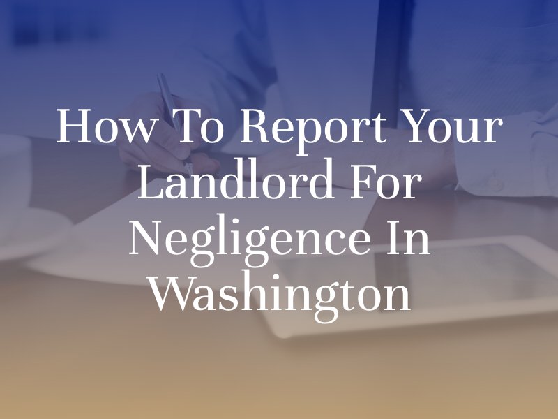 how to report your landlord for negligence illustration