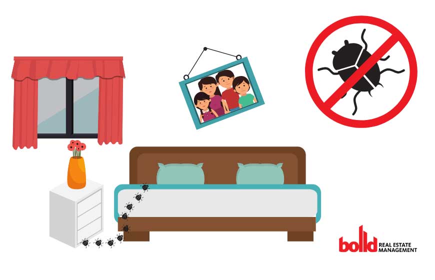 is landlord responsible for bed bugs illustration