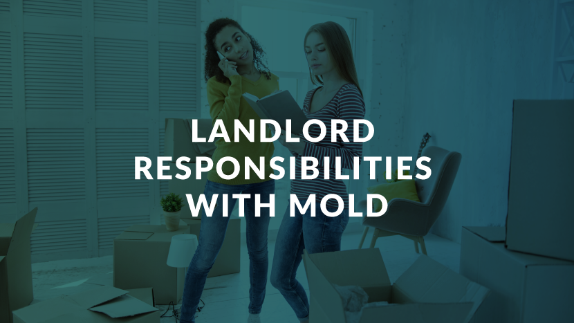 is landlord responsible for mold illustration
