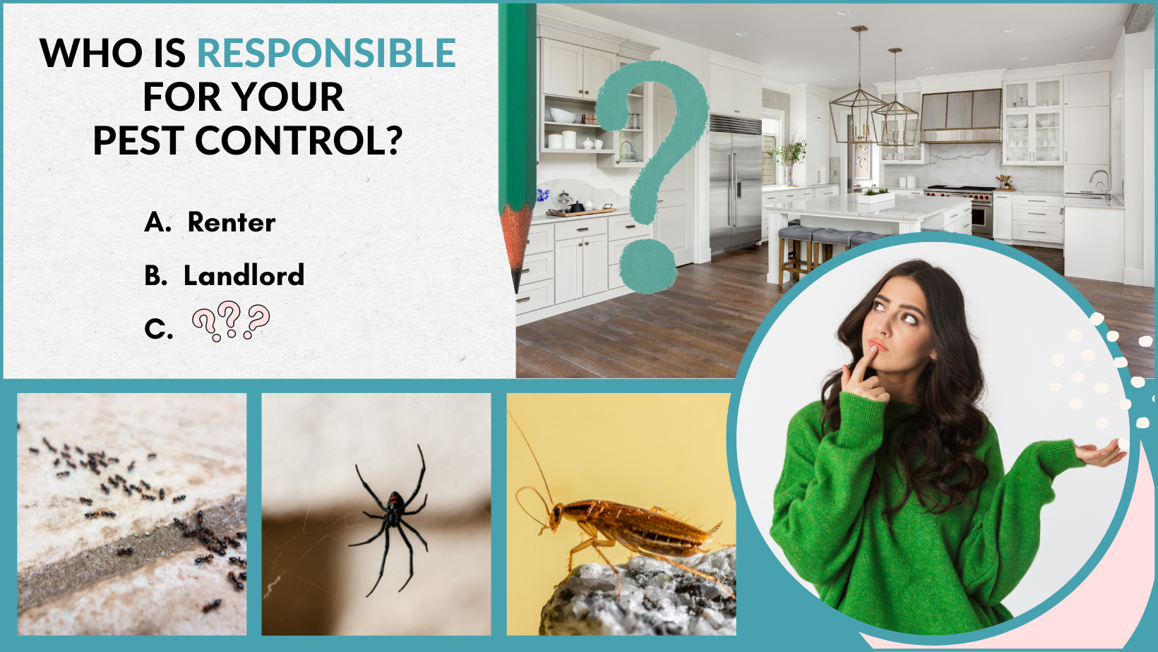 is the landlord responsible for pest control illustration