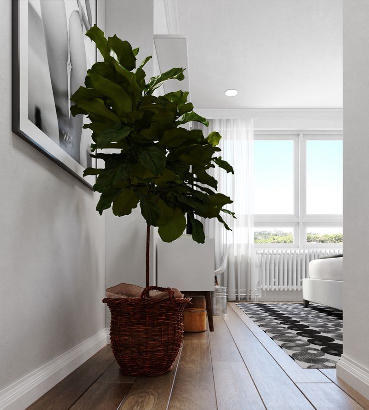 grey and white home decor inspiration example