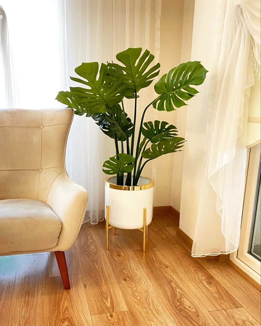 indoor plants for home decor aesthetics illustration