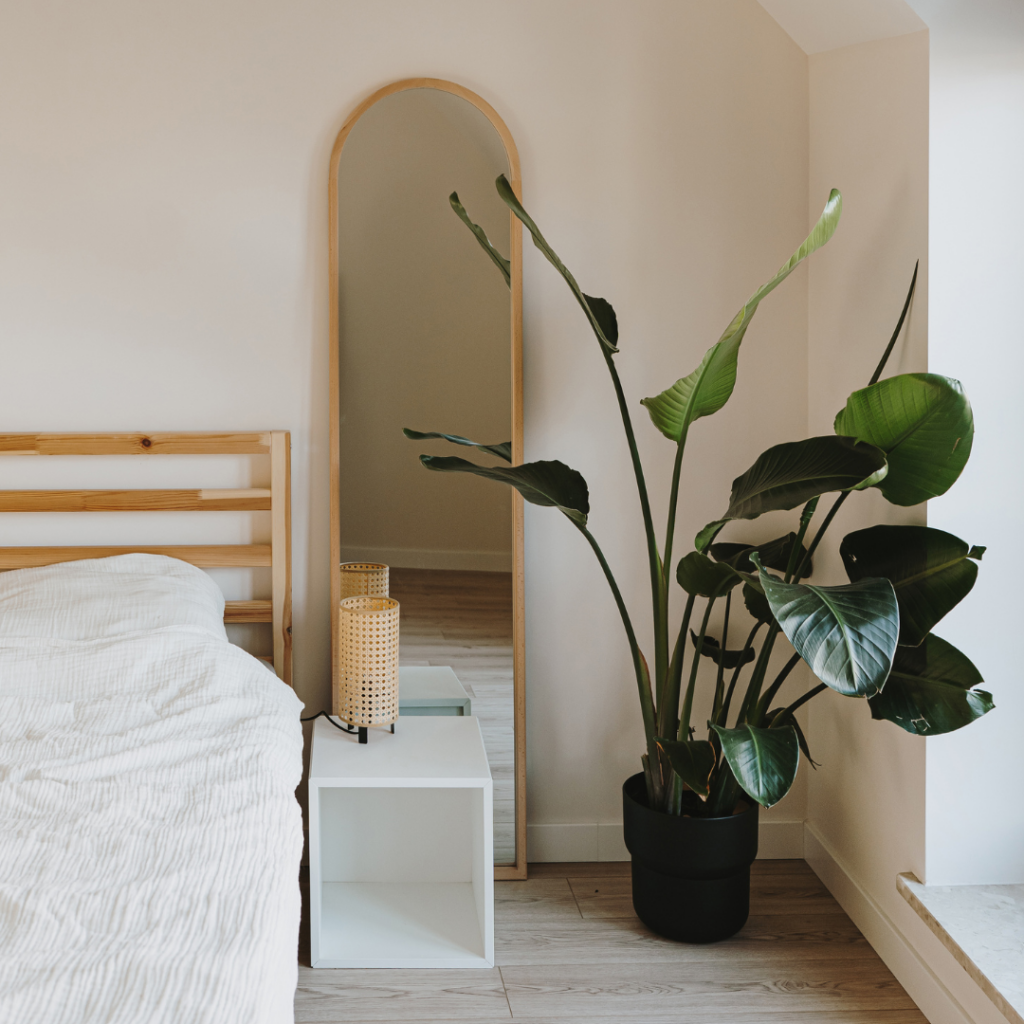 minimalist scandinavian decor on a budget example