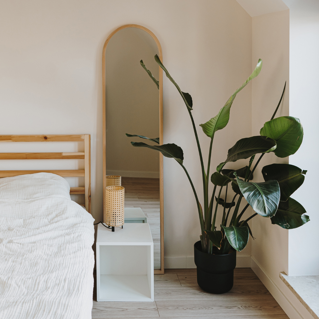 minimalist scandinavian decor on a budget example